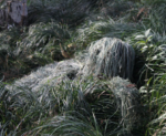 TRAJE GHILLIE BOSQUE - Imagen 5