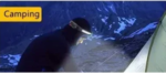 LINTERNA LED DE CABEZA CON SENSOR - Imagen 6